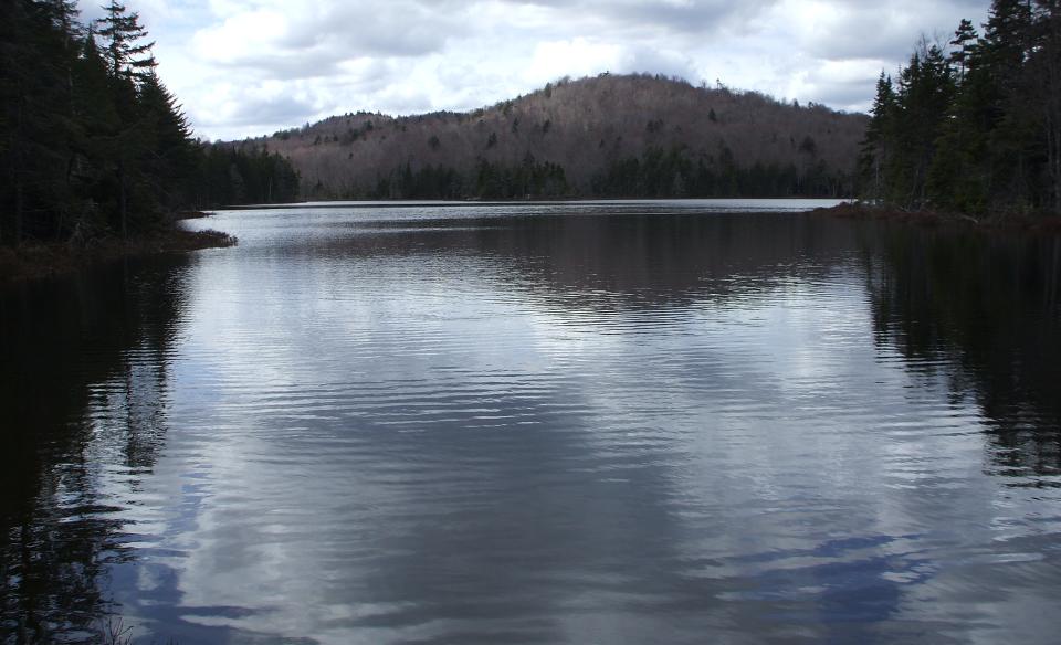 A pond on an overcast day.