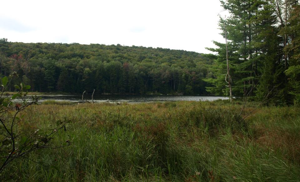 Mitchell Ponds has interesting terrain in the Adirondacks.