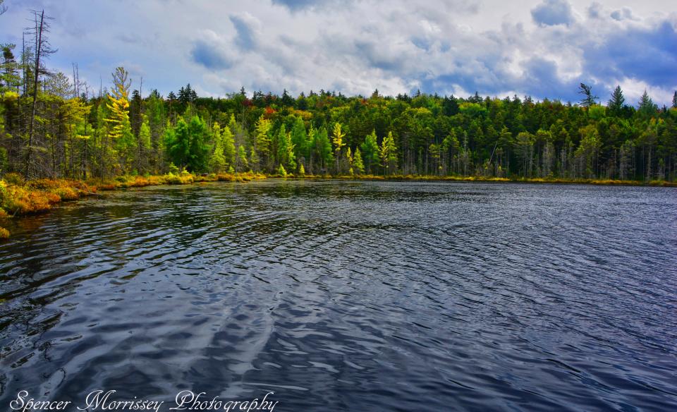 Helldiver Pond is scenic and easy to access with an easy carry.