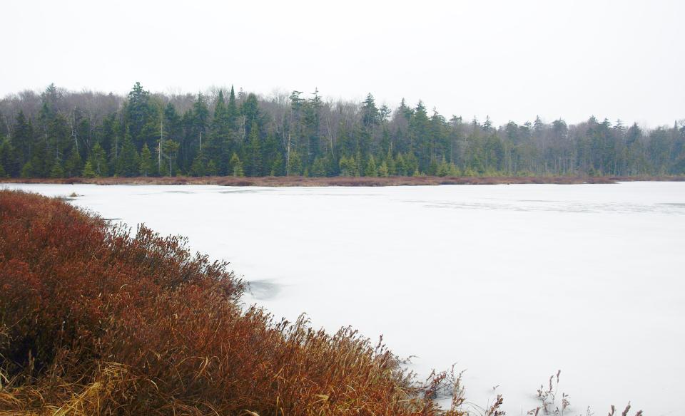 Oswego Pond is gorgeous in late fall.