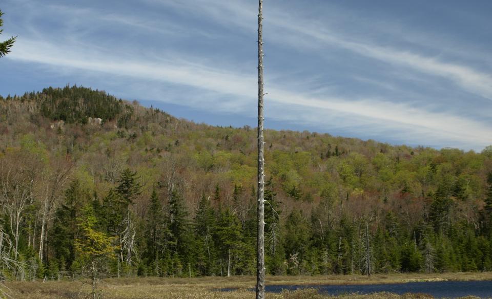 Chub Pond is set in a scenic valley.