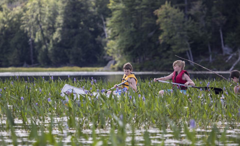 Two kids paddling amongst aquatic vegetation