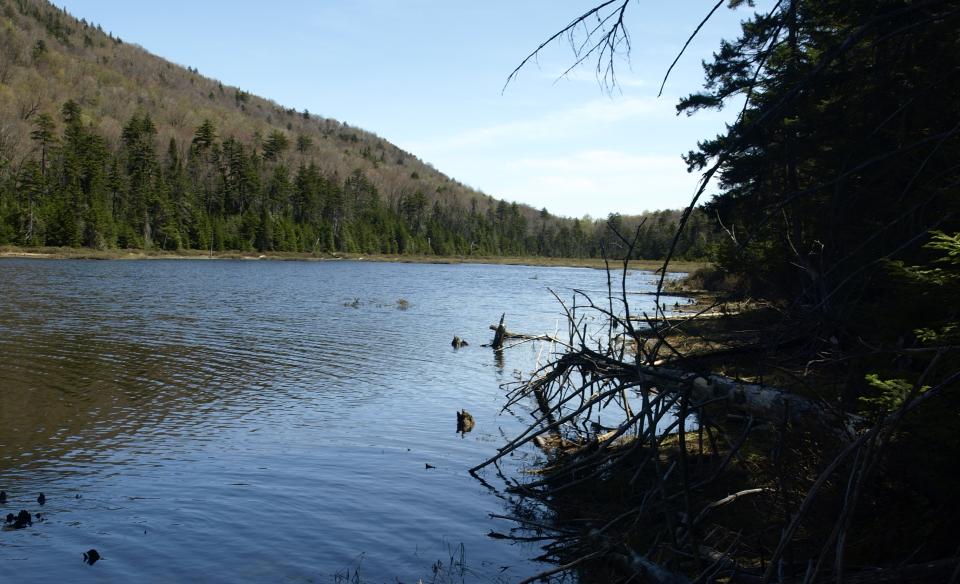 This hike includes Chub and Helms Ponds.