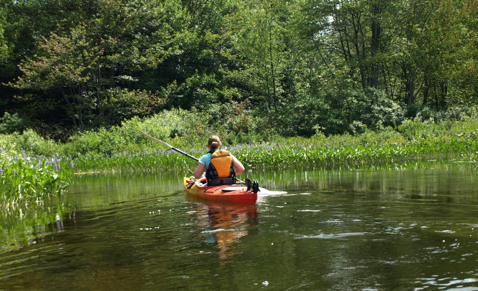 A kayaker in the shallows of The Kunjamuk