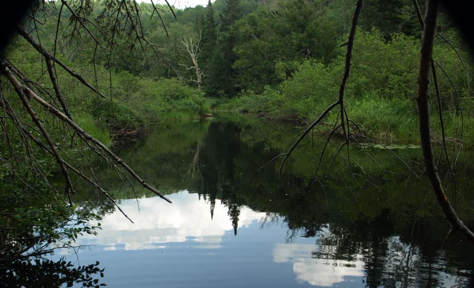 A narrow portion of the Kunjamuk River