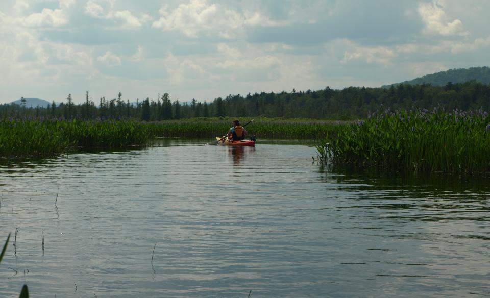 A wide open area on the Kunamuk River.