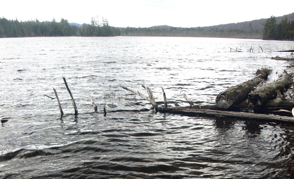 Mud Pond has trout and perch.