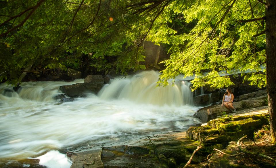 Austin Falls in Summer