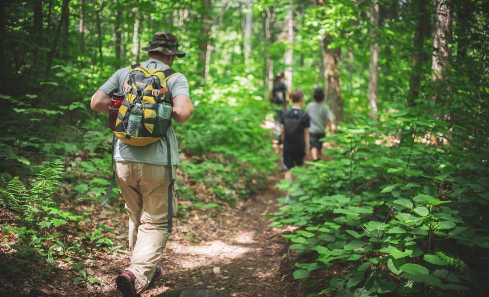 Hikers going up Snowy Mountain's trail.