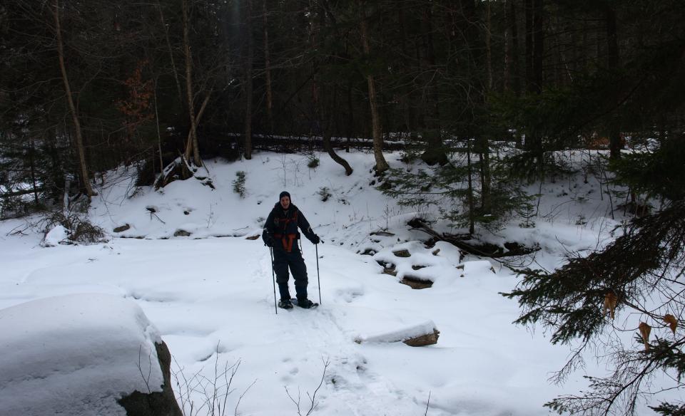 A snowshoer on the Kings Flow East trail